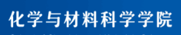 国产精品va在线观看不