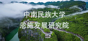 国产精品va在线观看不