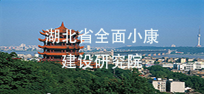 国产精品va在线观看不