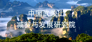 国产精品va在线观看不