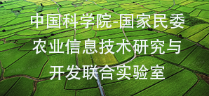 国产精品va在线观看不