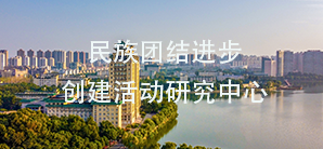 国产精品va在线观看不