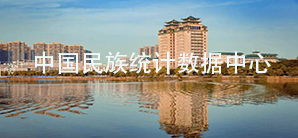 国产精品va在线观看不