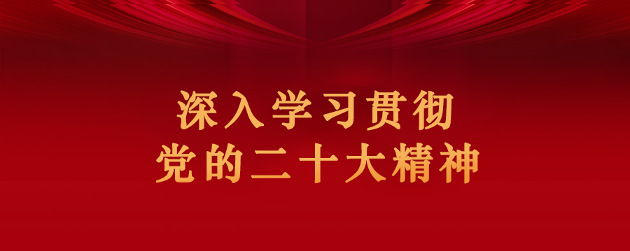 国产精品va在线观看不