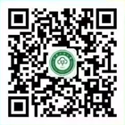 国产精品va在线观看不
