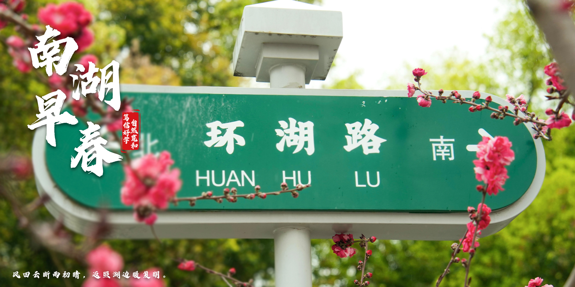 国产精品va在线观看不
