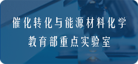 国产精品va在线观看不