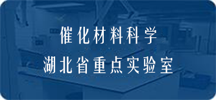 国产精品va在线观看不