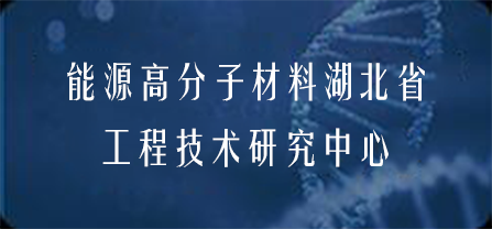 国产精品va在线观看不