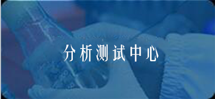 国产精品va在线观看不