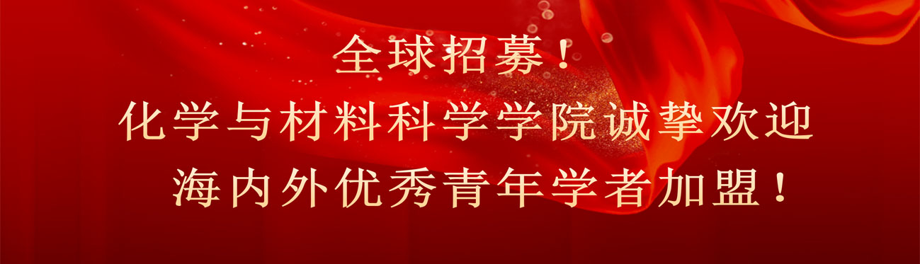 国产精品va在线观看不