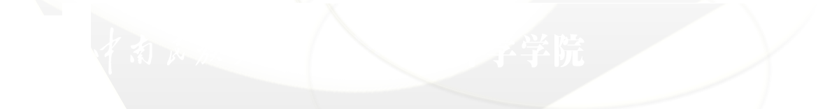 国产精品va在线观看不