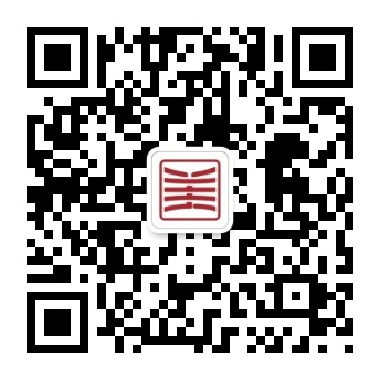 国产精品va在线观看不