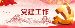 国产精品va在线观看不