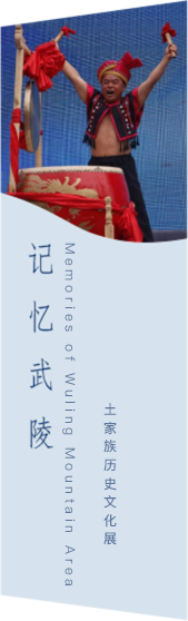 国产精品va在线观看不