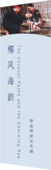 国产精品va在线观看不