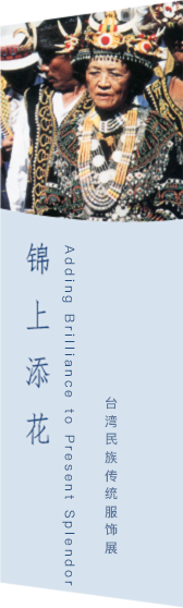 国产精品va在线观看不