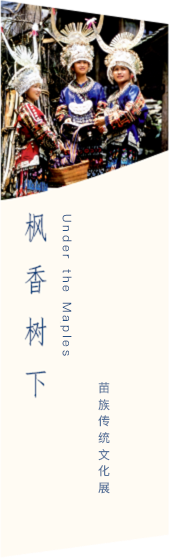 国产精品va在线观看不