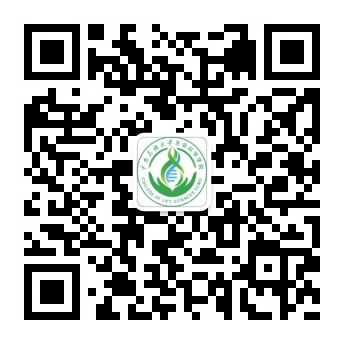 国产精品va在线观看不