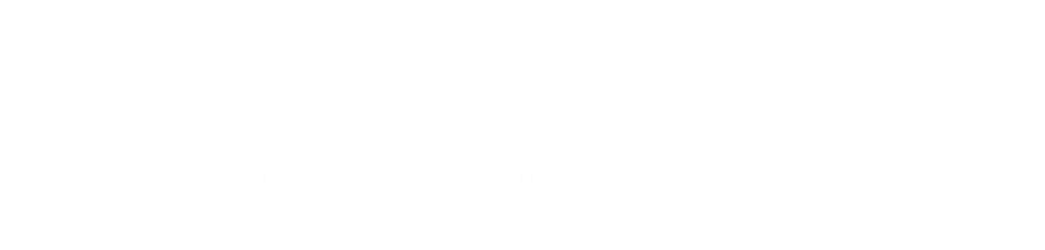 国产精品va在线观看不