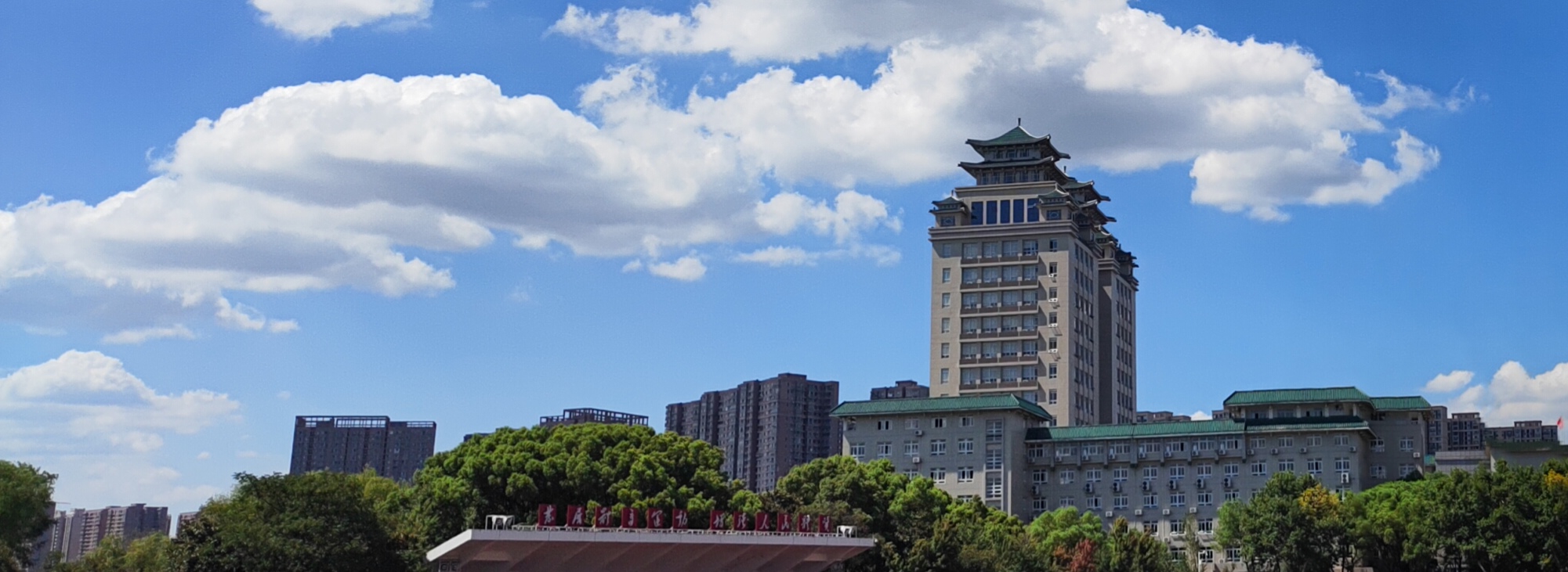 国产精品va在线观看不