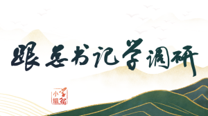 国产精品va在线观看不