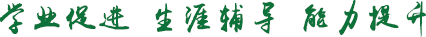 国产精品va在线观看不