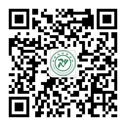 国产精品va在线观看不