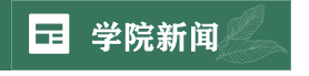国产精品va在线观看不