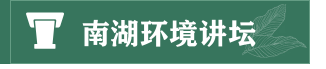 国产精品va在线观看不