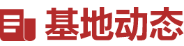 国产精品va在线观看不