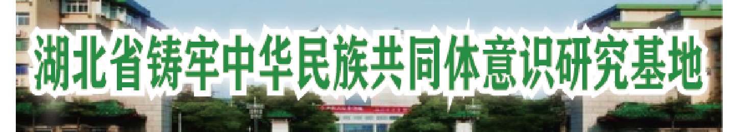 国产精品va在线观看不